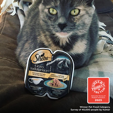 Sheba